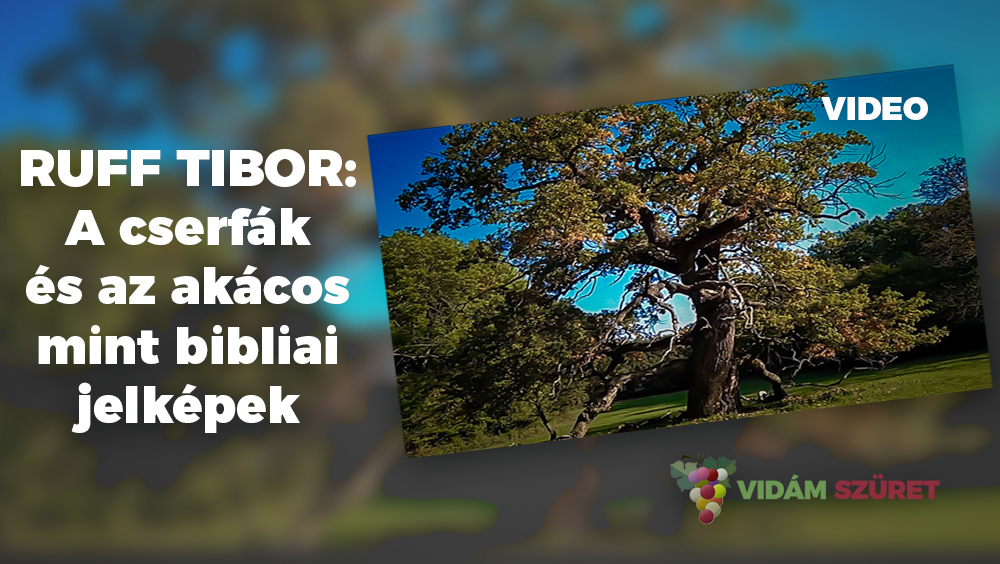 Ruff Tibor A cserfák és az akácos mint bibliai jelképek