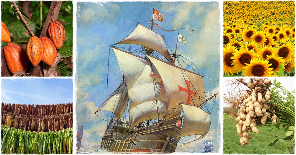 Amerikából jöttünk - 2. rész