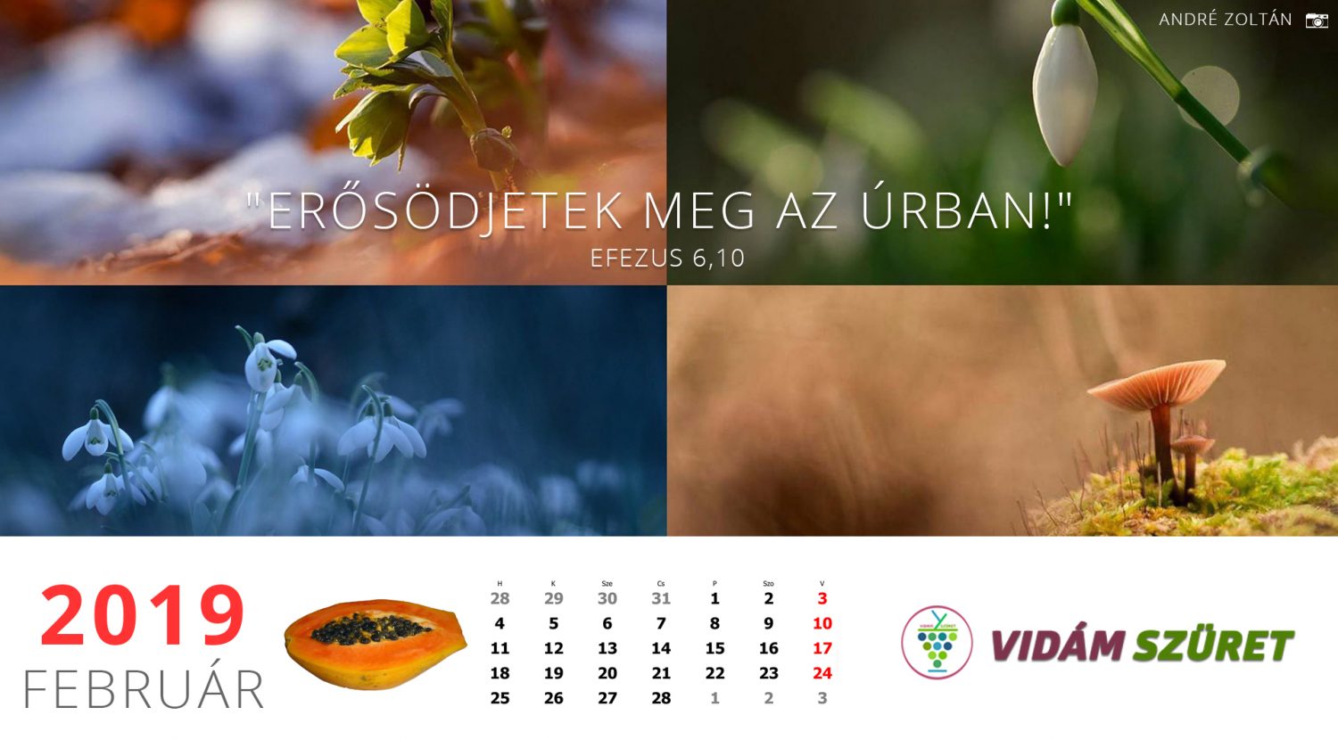 Sikeres, győztes, boldog februárt!
