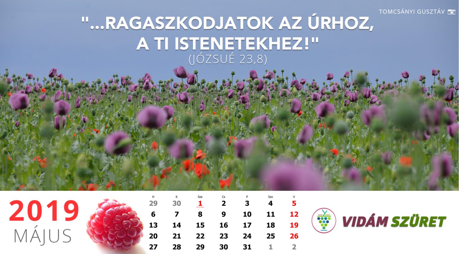 Sikeres, győztes, boldog májust!