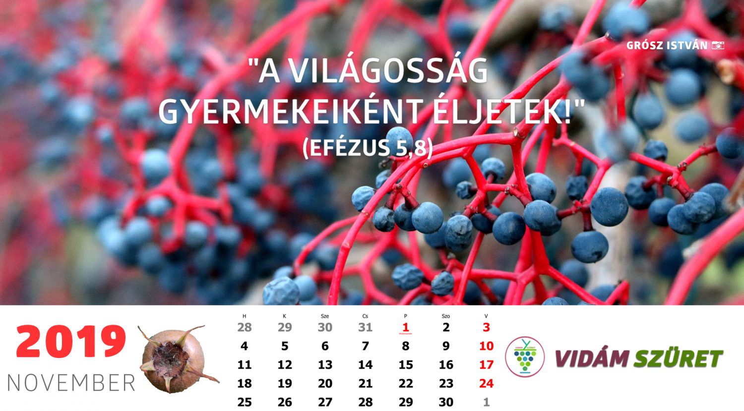 Sikeres, győztes, boldog novembert!
