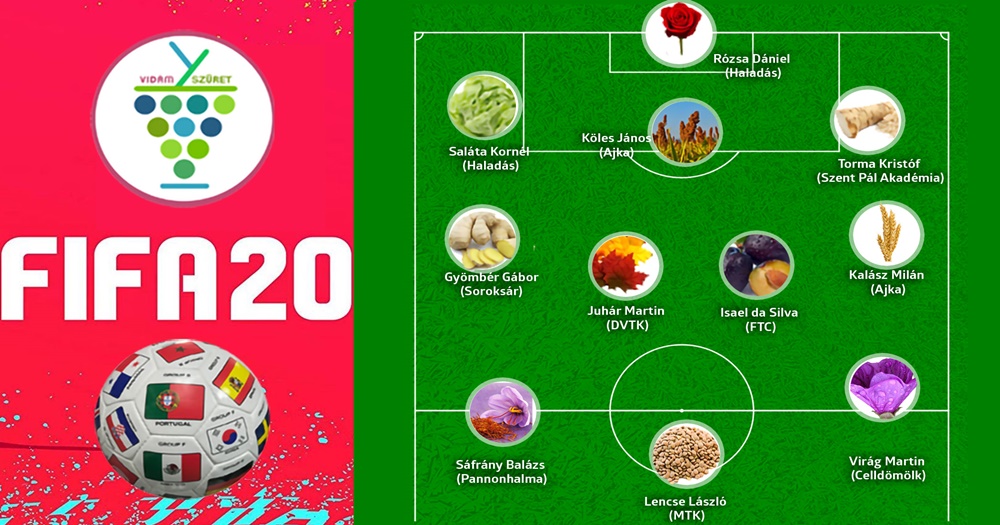 Happy Plants - Fifa 2020