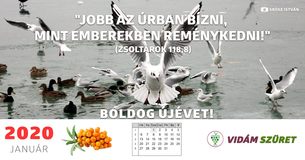 Boldog új évet kívánunk!