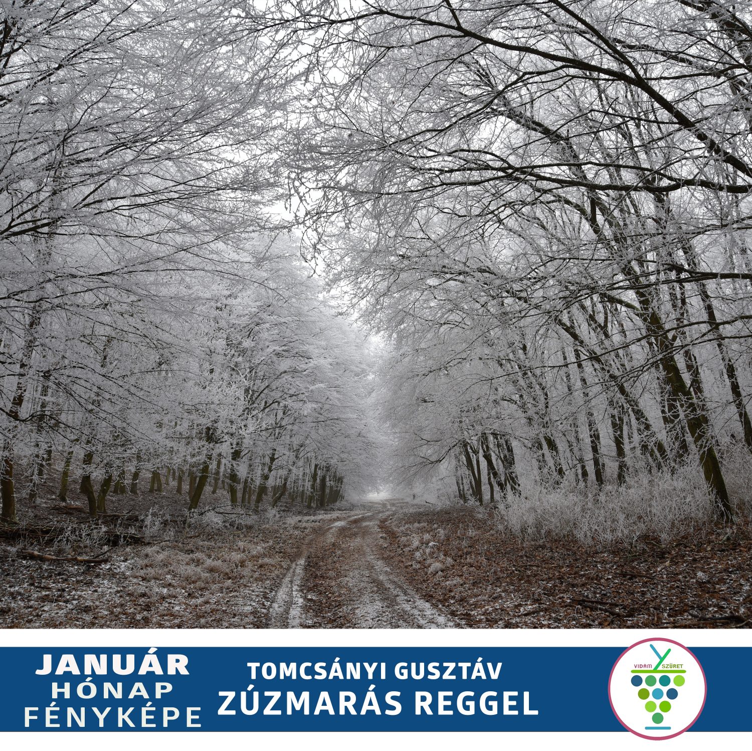 Olvasóink küldték | A hónap képe – December
