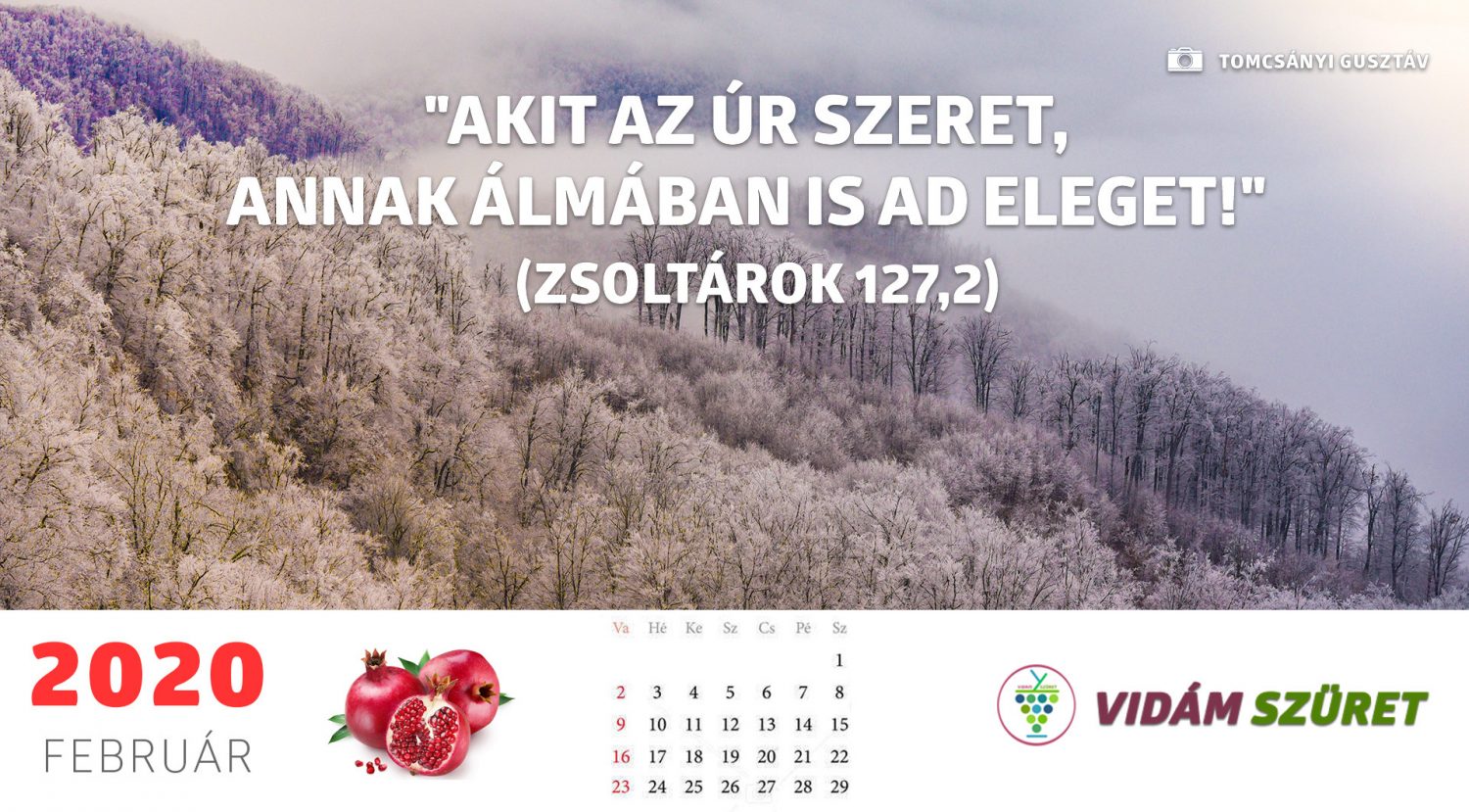Sikeres, győztes, boldog februárt!