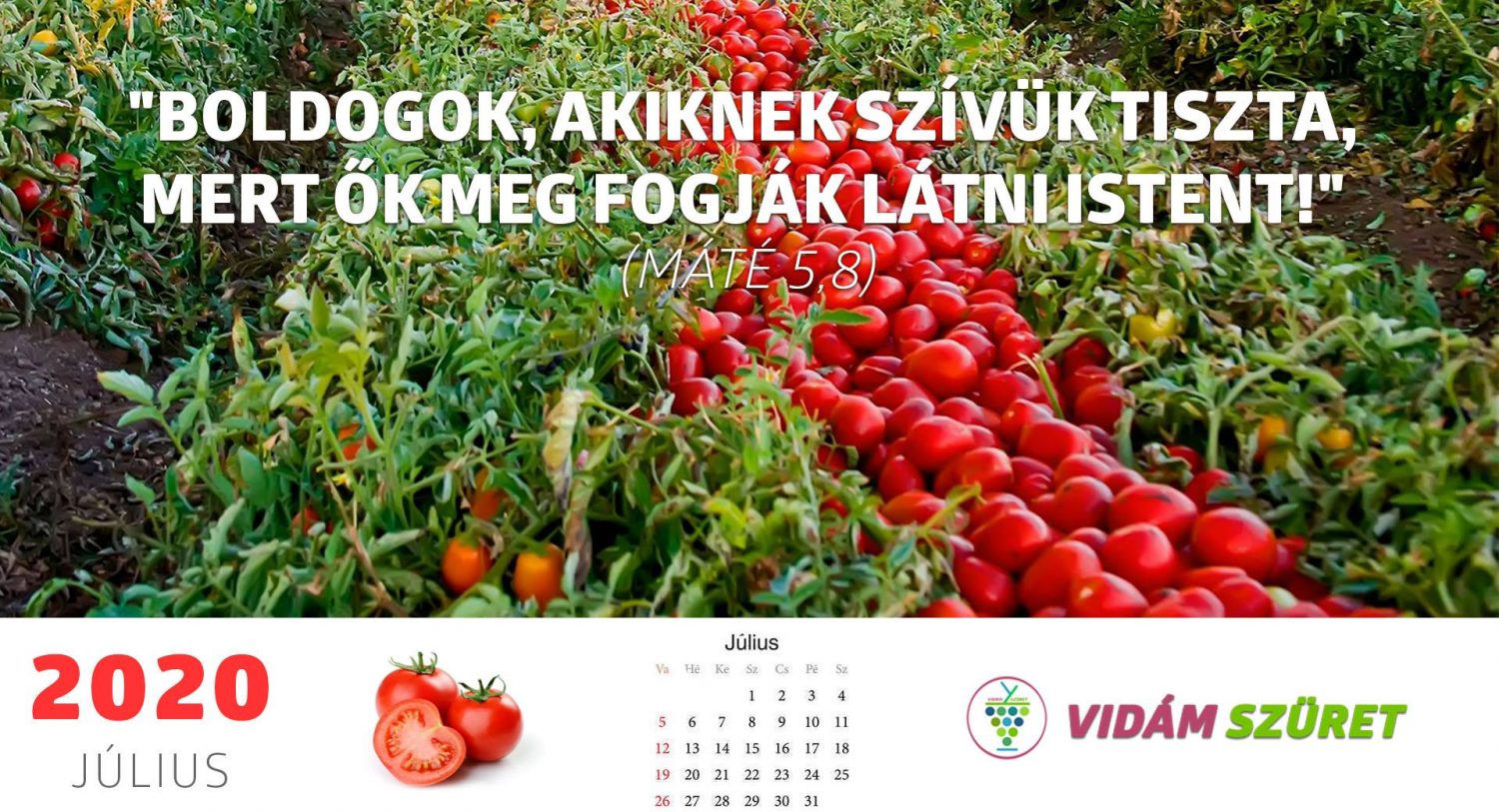 Áldott, nyugodt, csendes júliust kívánunk minden kedves követőnknek!