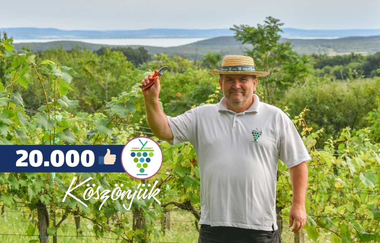 20000 Kedvelő a Facebook oldalunkon!