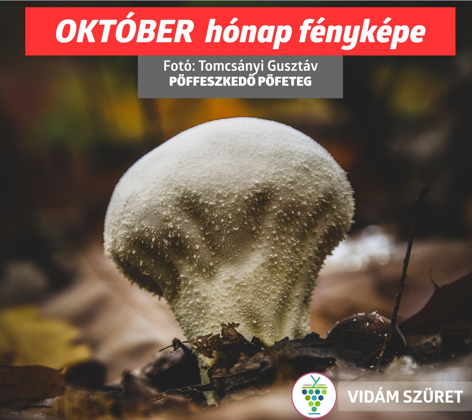 Olvasóink küldték | A hónap képe | szeptember