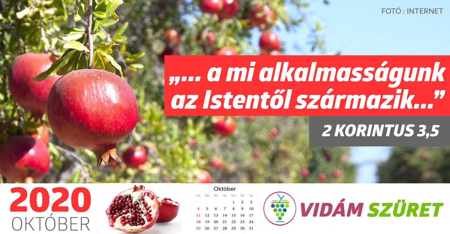Áldott, győztes októbert kívánunk minden kedves követőnknek!