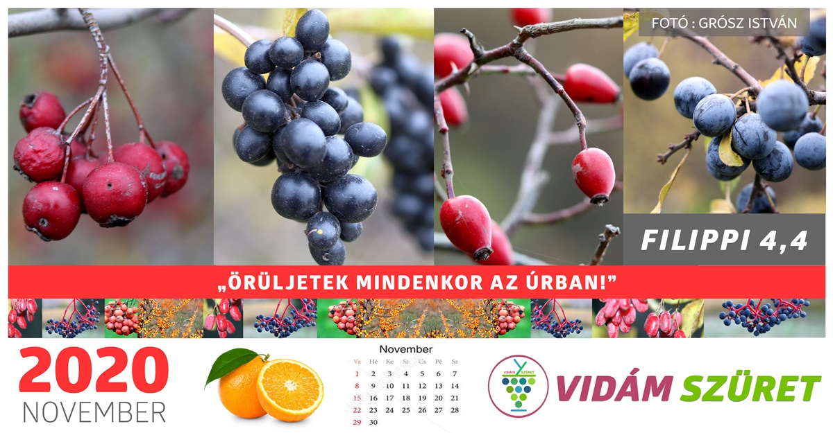 Áldott, győztes novembert kívánunk minden kedves követőnknek!