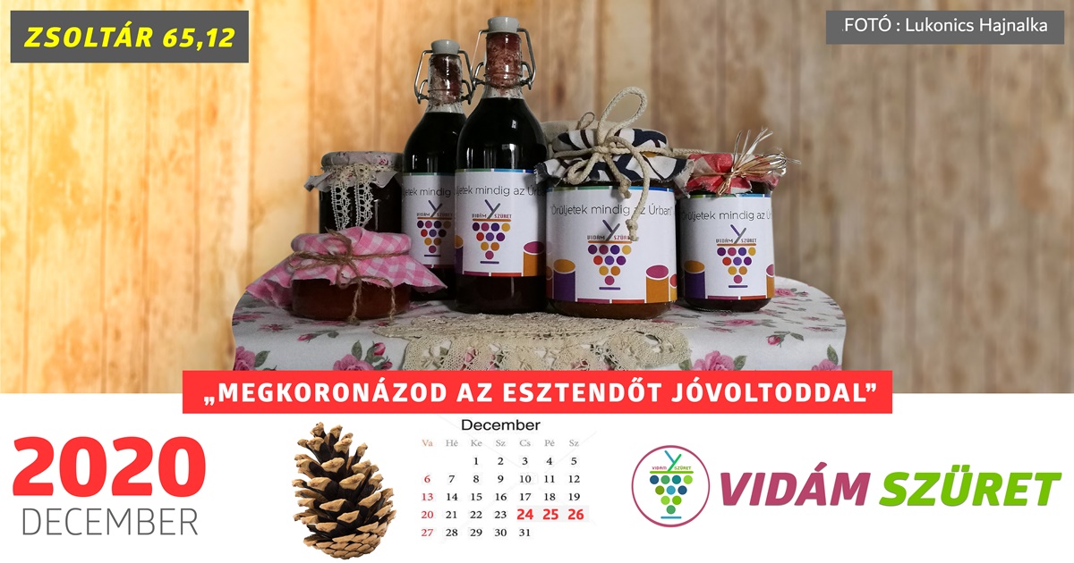 Áldott, sikeres decembert kívánunk minden kedves követőnknek!