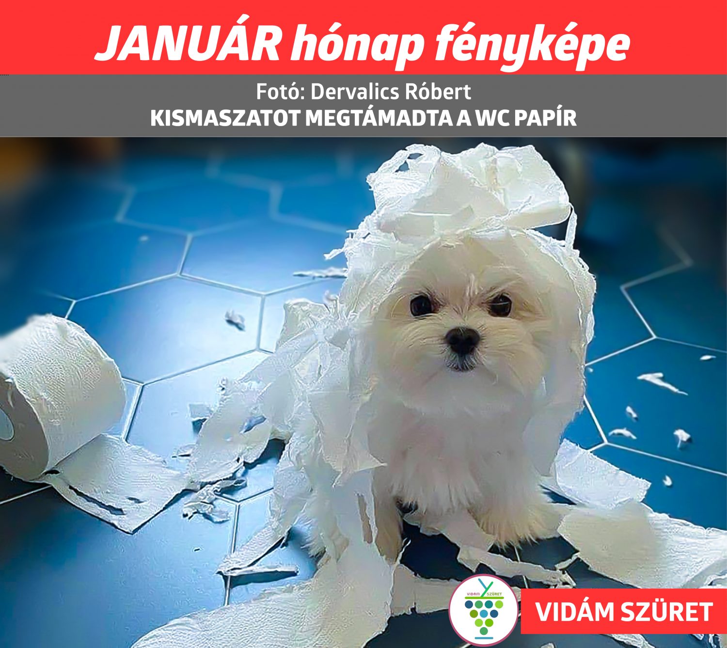 Olvasóink küldték | A hónap képe | Január