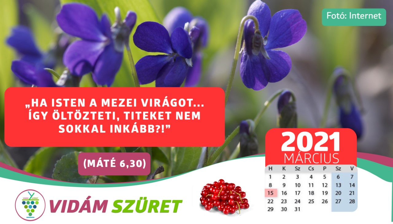 Áldott, sikeres márciust kívánunk minden kedves követőnknek!