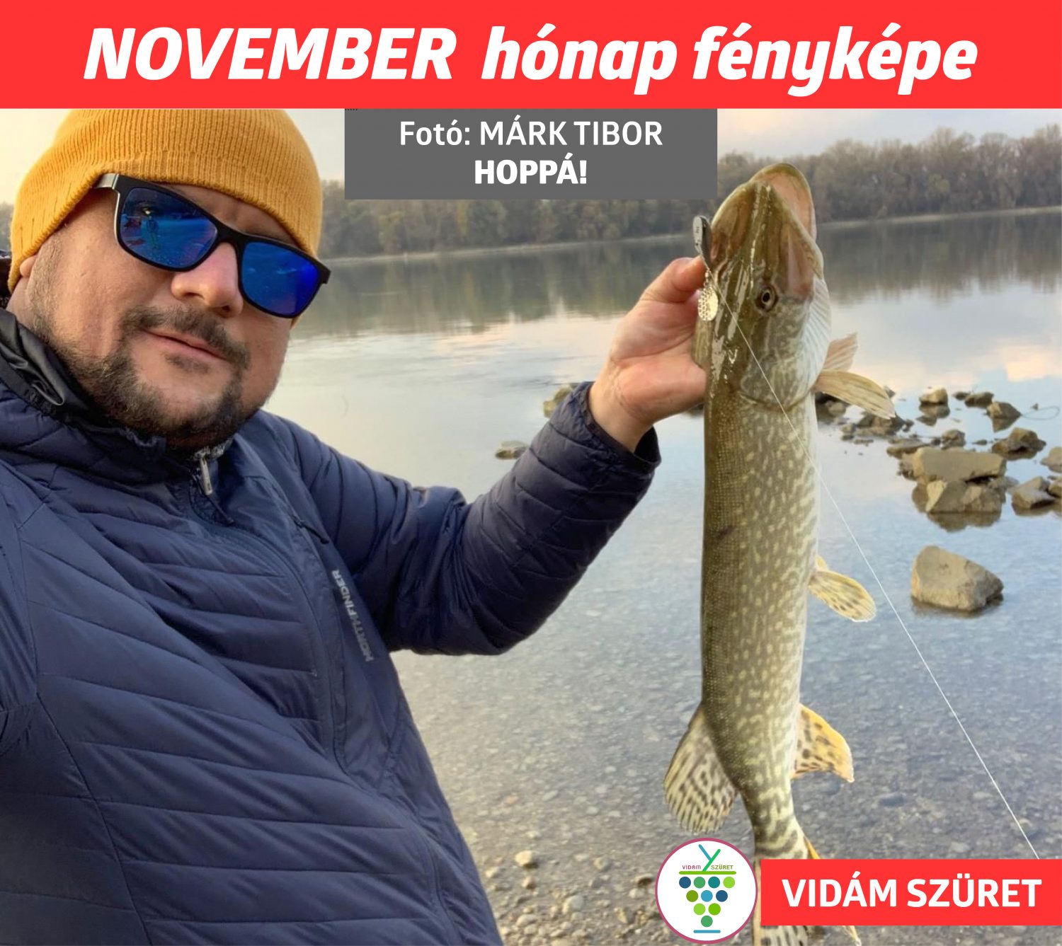 Olvasóink küldték | A hónap képe | November