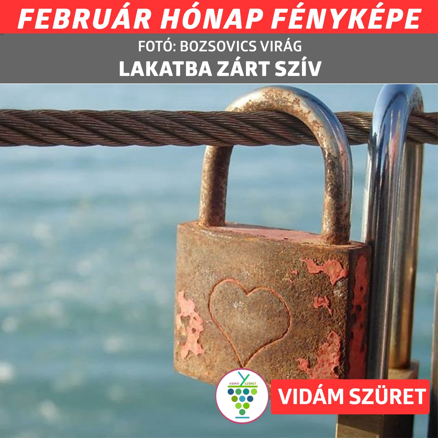 Olvasóink küldték | A hónap képe | Február
