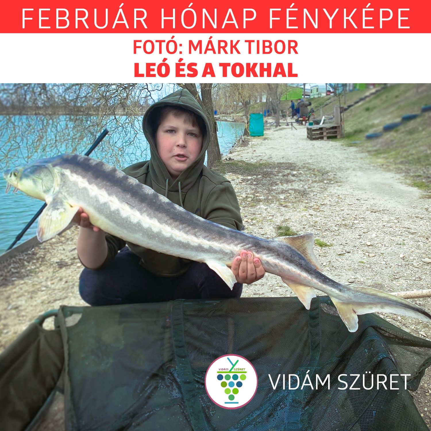 Olvasóink küldték | A hónap képe | Március