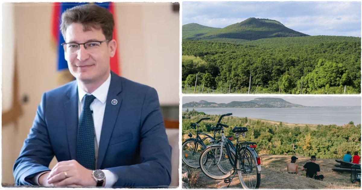 Dr. Cser-Palkovics András gondolatai